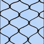 Bird Netting 2